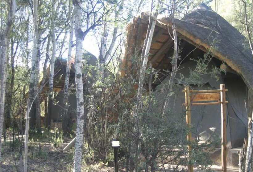 Hotel Letsatsi Game Lodge