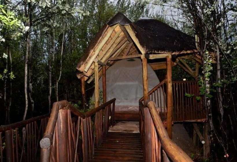 Hotel Letsatsi Game Lodge