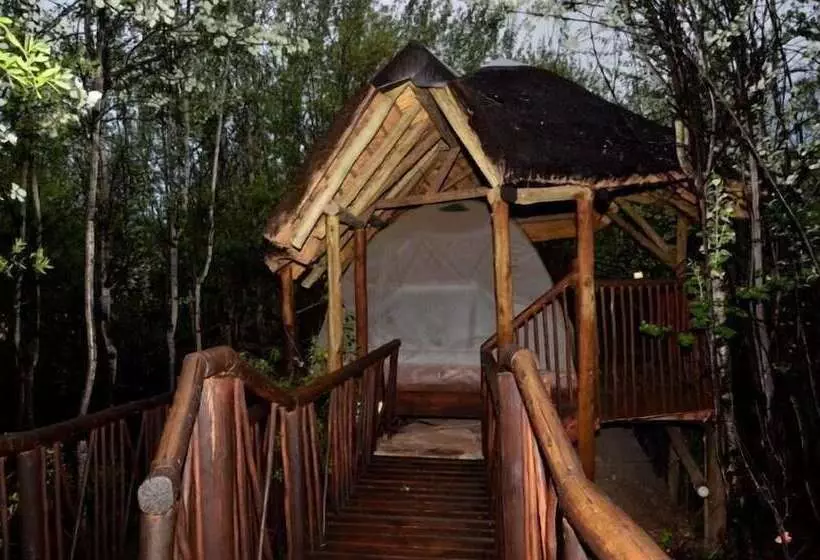 Hotelli Letsatsi Game Lodge