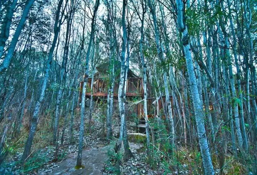 Hotelli Letsatsi Game Lodge