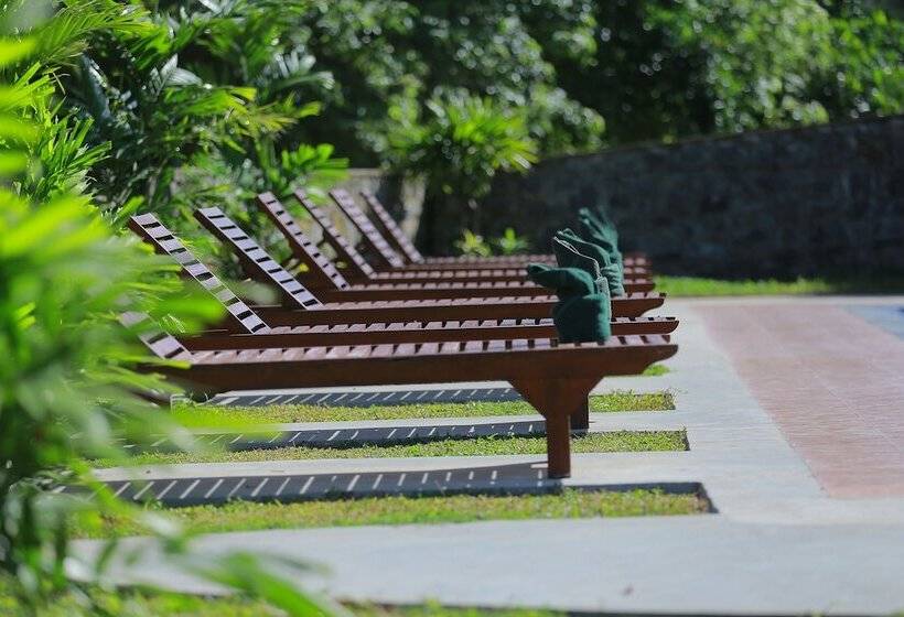 בית מלון כפרי Owinrich Resort