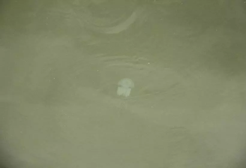 Hotelli Regant Lake Palace