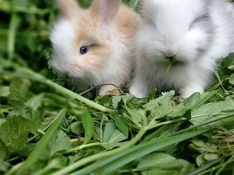 ホテル River Walk Urban Camping House