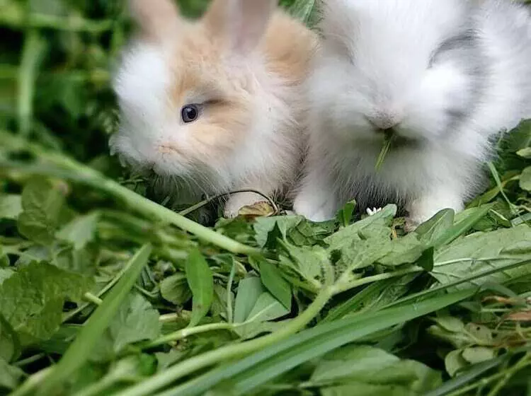 Hotel River Walk Urban Camping House