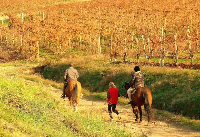 田舎風ホテル Agriturismo Il Rifugio