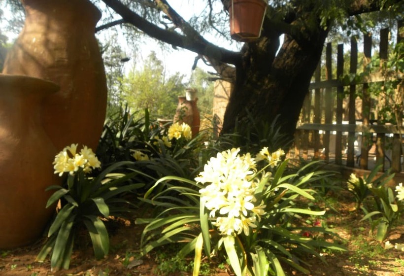 פנסיון Eikenhof Country Guesthouse