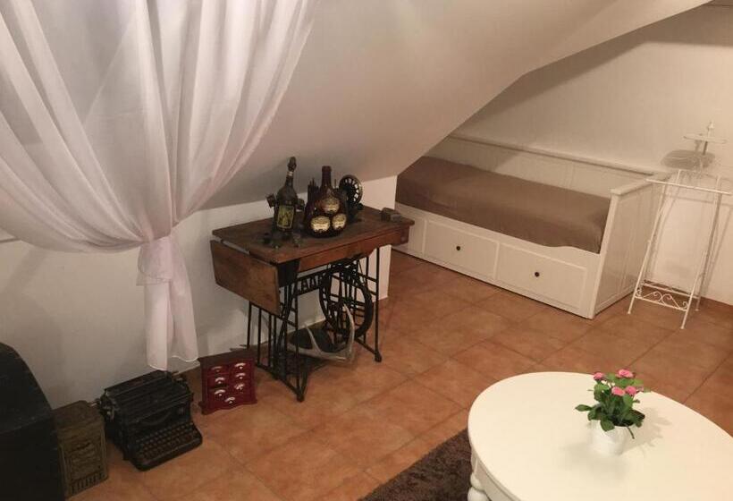 بنسيون Habánský Dům