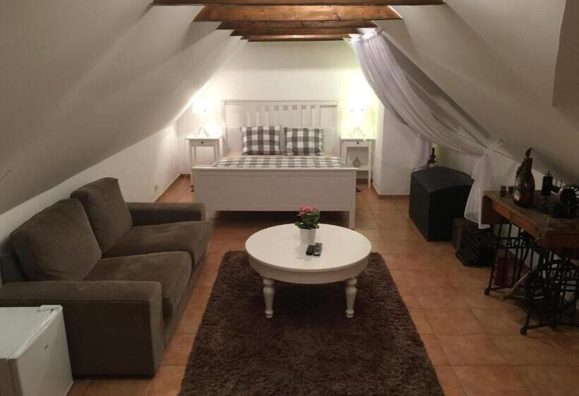 بنسيون Habánský Dům