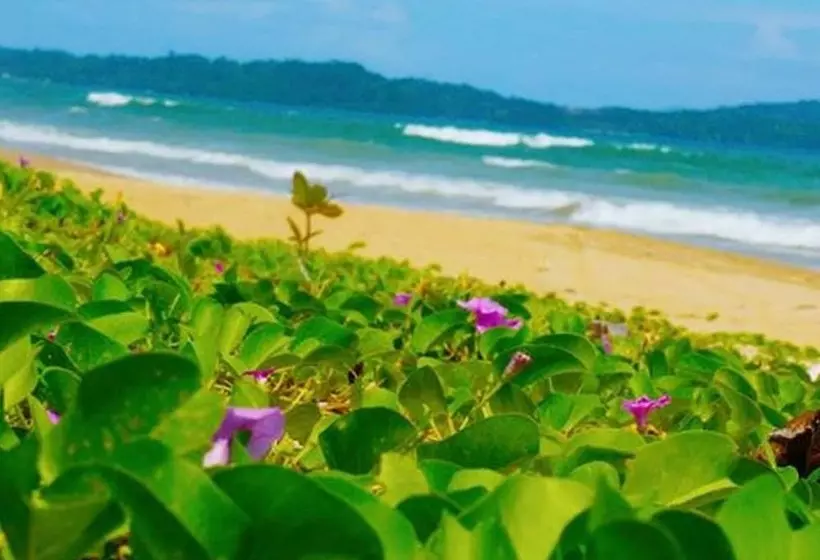 Majatalo Jurisu Resort