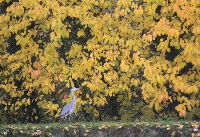 بنسيون La Chaumière Du Tordoir