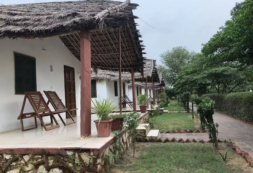 リゾートホテル Geejgarh Eco Village By Opensky