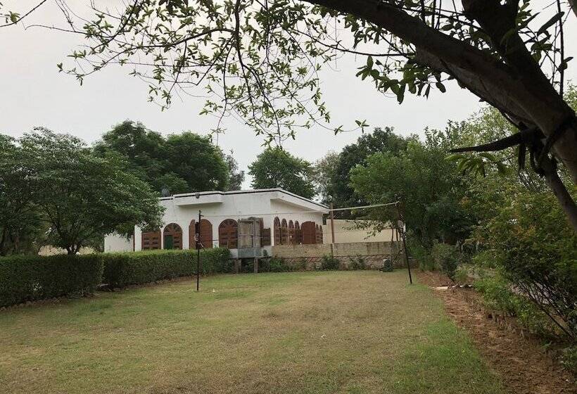 渡假胜地 Geejgarh Eco Village By Opensky