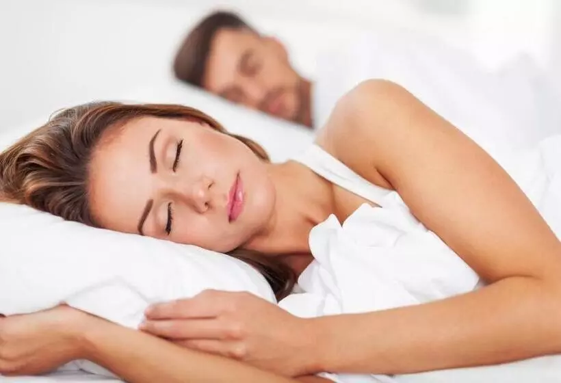 Hampshire Hotel   Avenarius