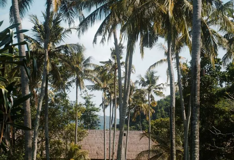 酒店 Alila Manggis