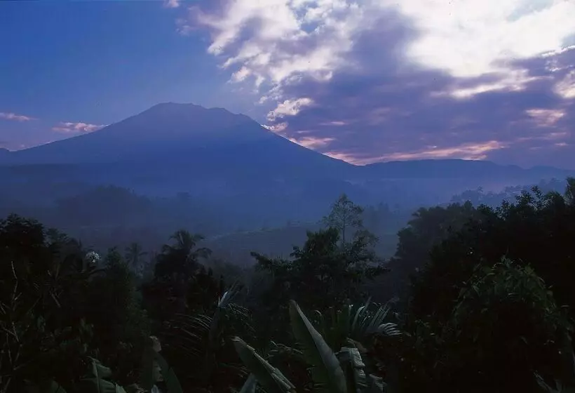 酒店 Alila Manggis