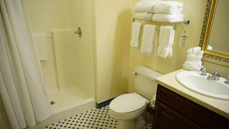 בית מלון כפרי At Old Town