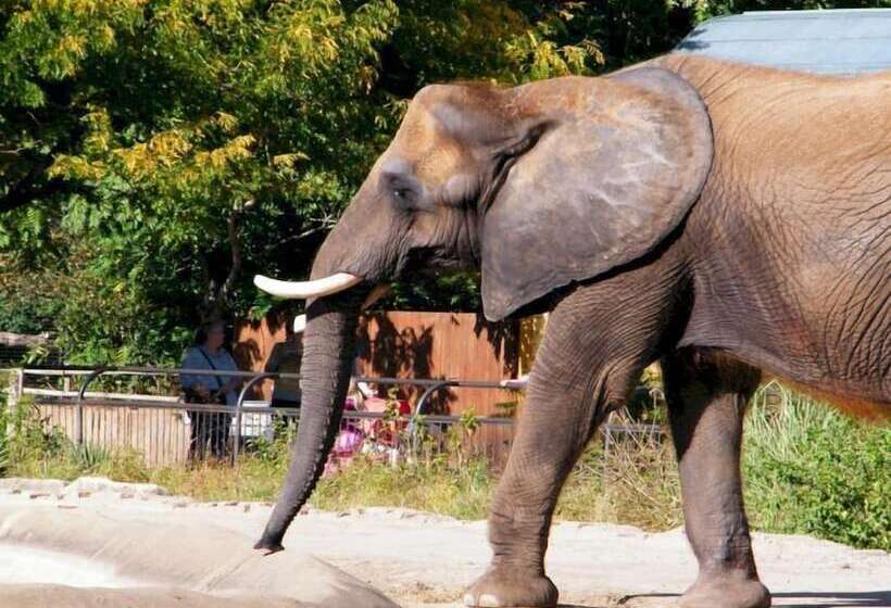 فندق At Old Town