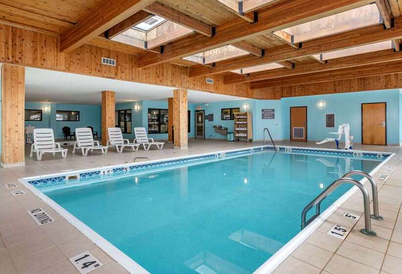 ホテル Comfort Inn & Suites Grand Blanc Flint