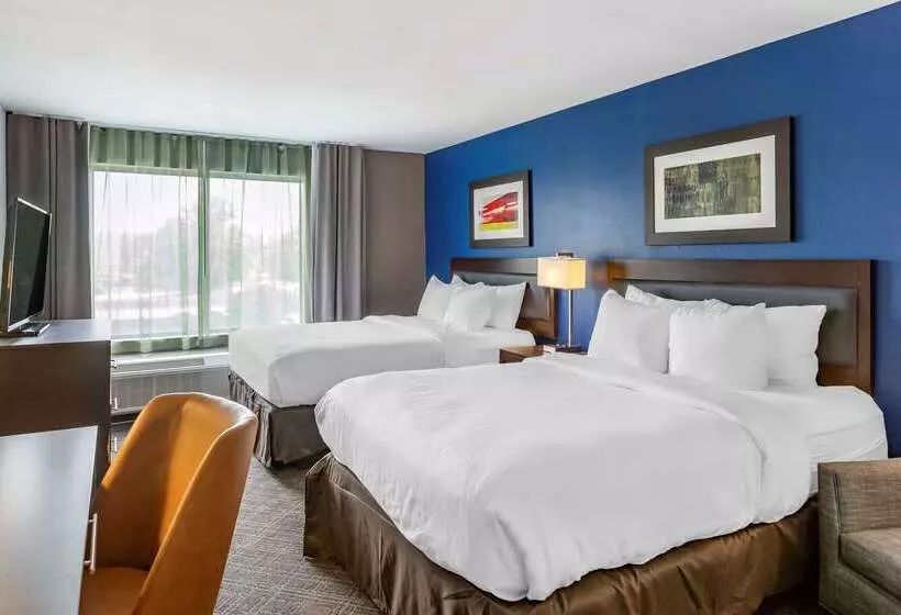 هتل Comfort Inn & Suites Grand Blanc Flint