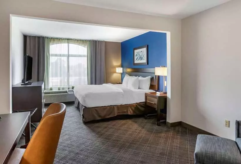 هتل Comfort Inn & Suites Grand Blanc Flint