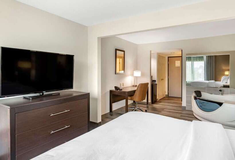 ホテル Comfort Inn & Suites Grand Blanc Flint