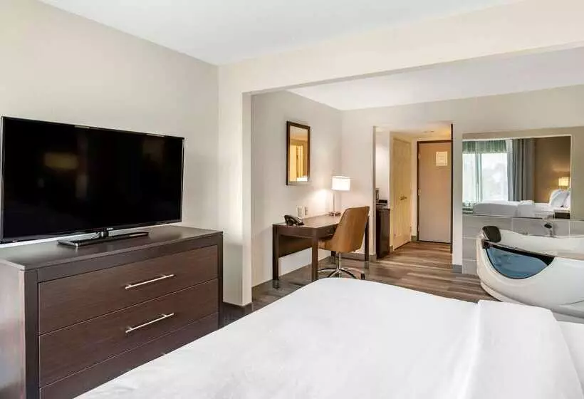 هتل Comfort Inn & Suites Grand Blanc Flint