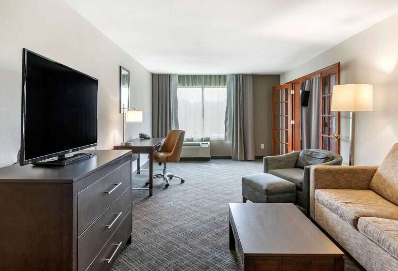 ホテル Comfort Inn & Suites Grand Blanc Flint