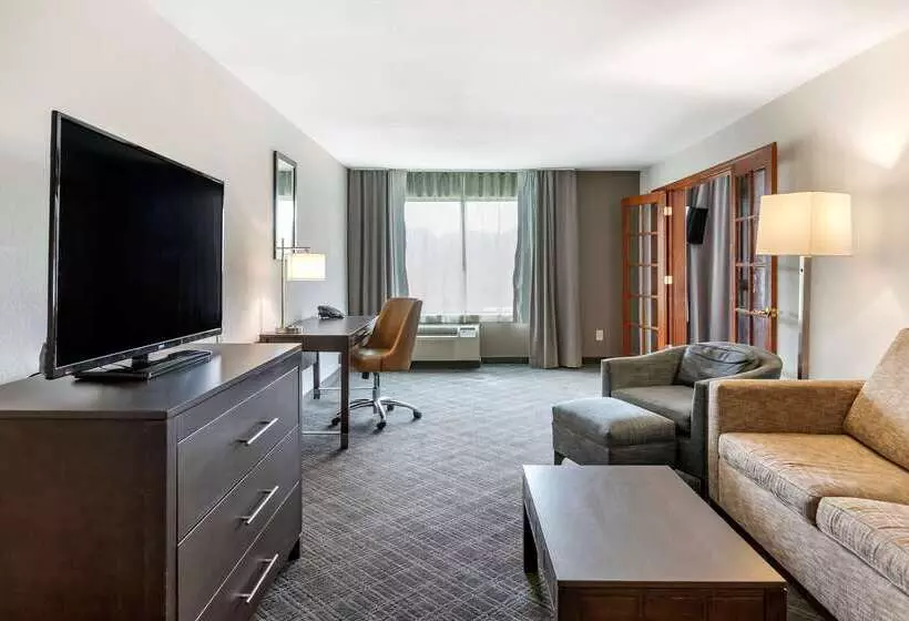 هتل Comfort Inn & Suites Grand Blanc Flint