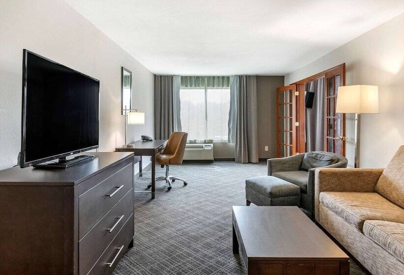 ホテル Comfort Inn & Suites Grand Blanc Flint