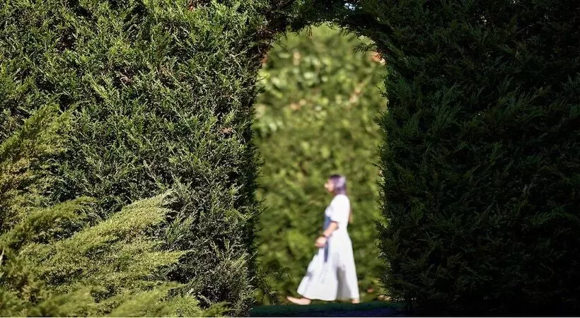 Отель Octant Lousa