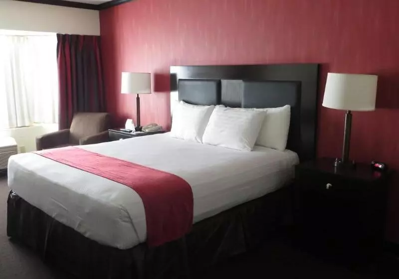 酒店 Primm Valley Resort & Casino