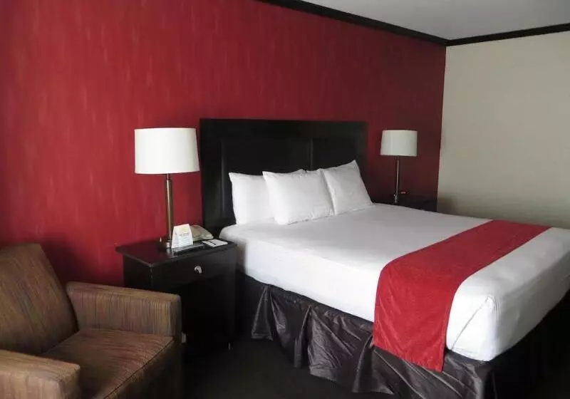 酒店 Primm Valley Resort & Casino