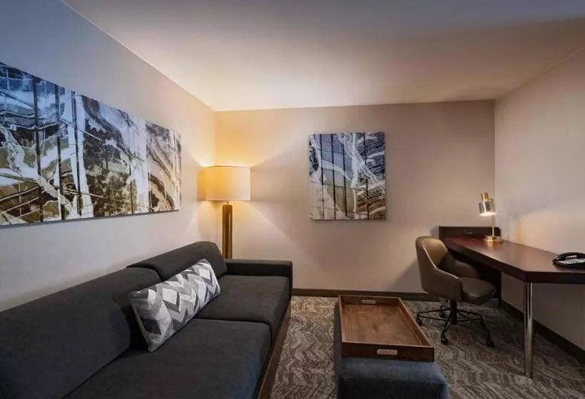 هتل Springhill Suites Boise West/eagle