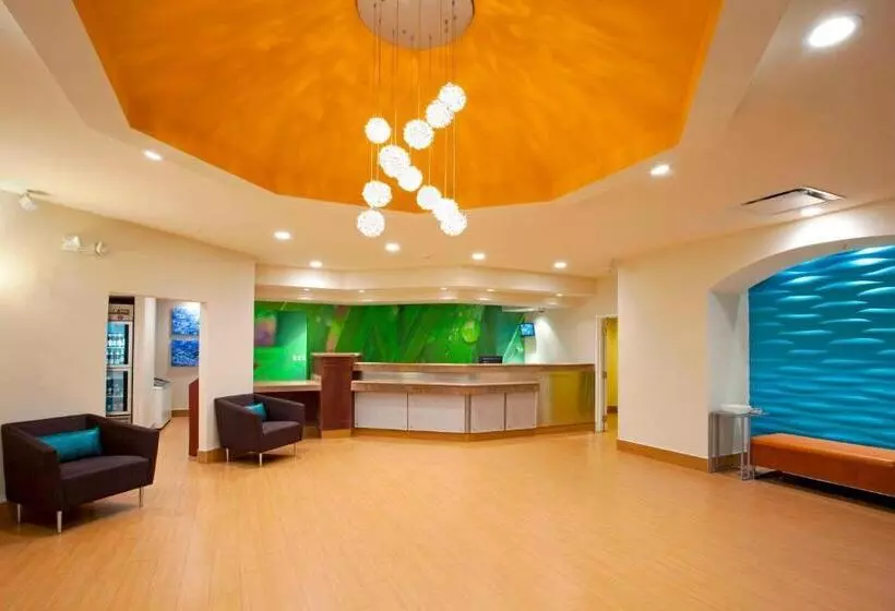 בית מלון כפרי Springhill Suites Denver North/westminster