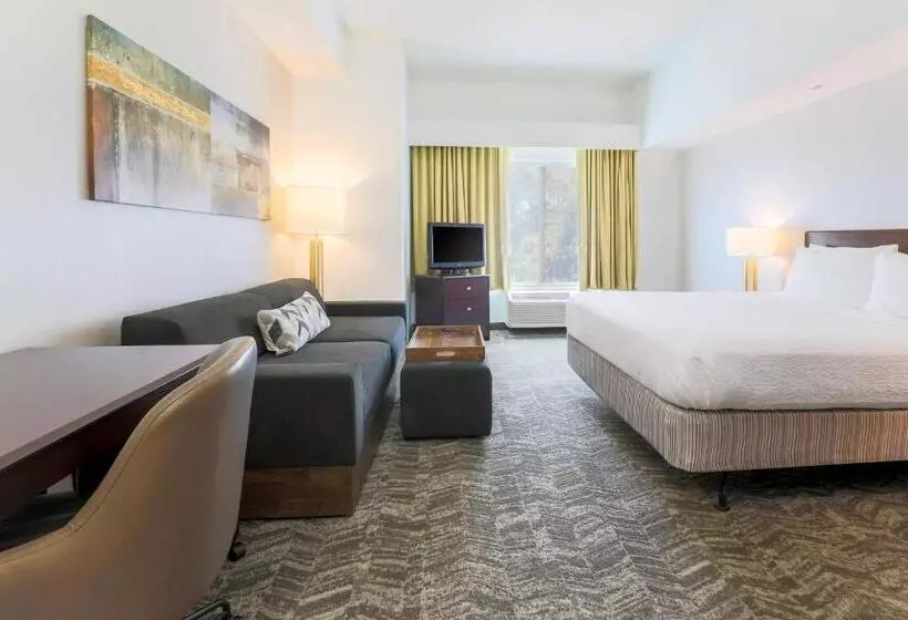 هتل Springhill Suites By Marriott Yuma