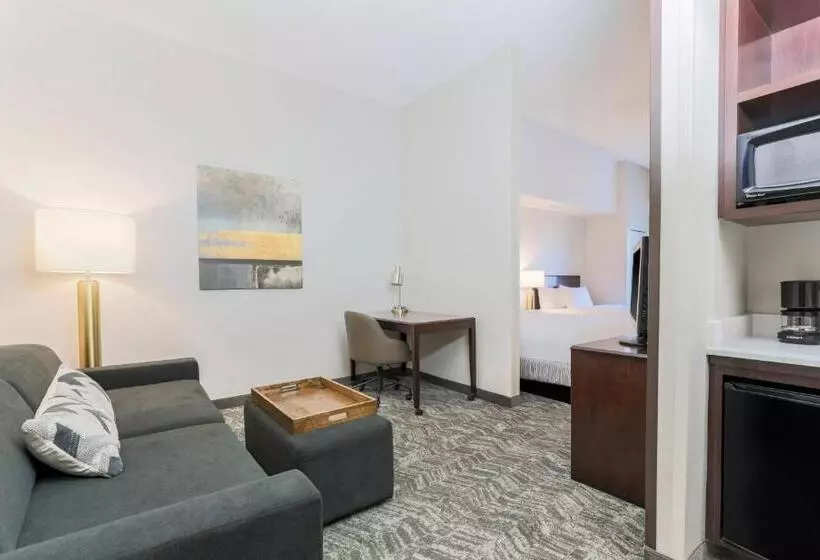 هتل Springhill Suites By Marriott Yuma