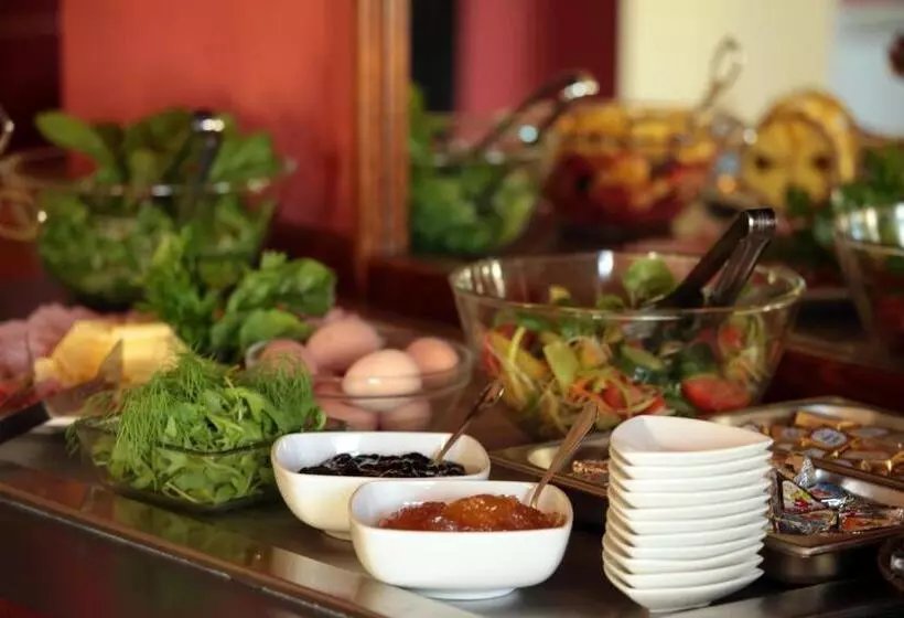 Romantic Hotel Mlýn Karlstejn