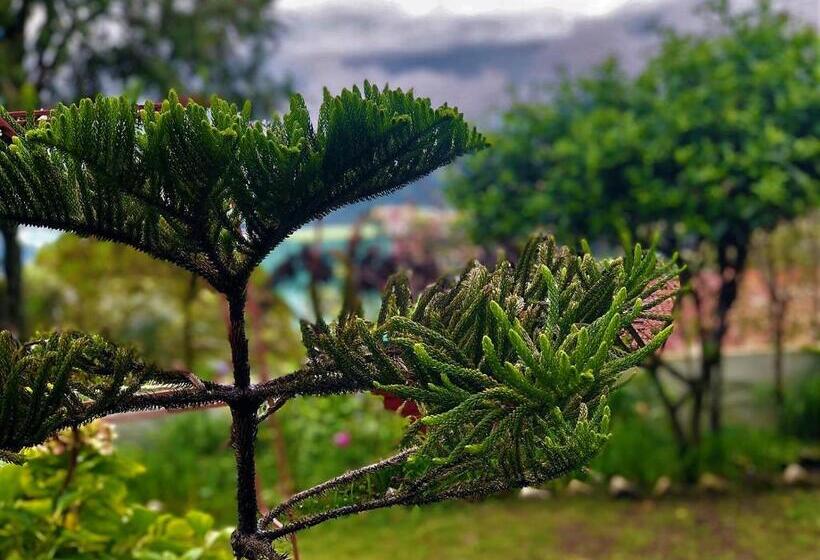 צימר Solan Retreat