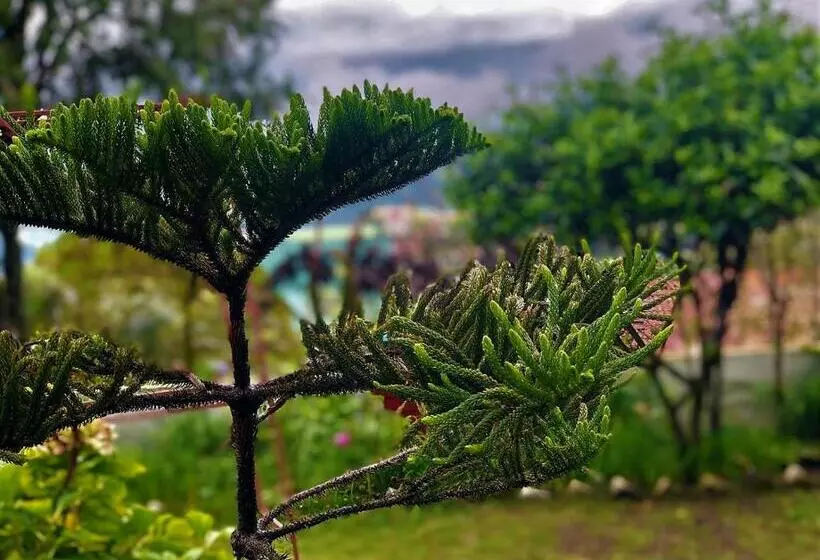 Aamiaismajoitus (B&B) Solan Retreat