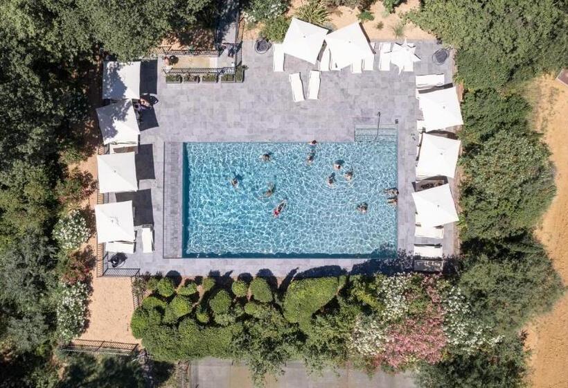 Château Hermitage De Combas