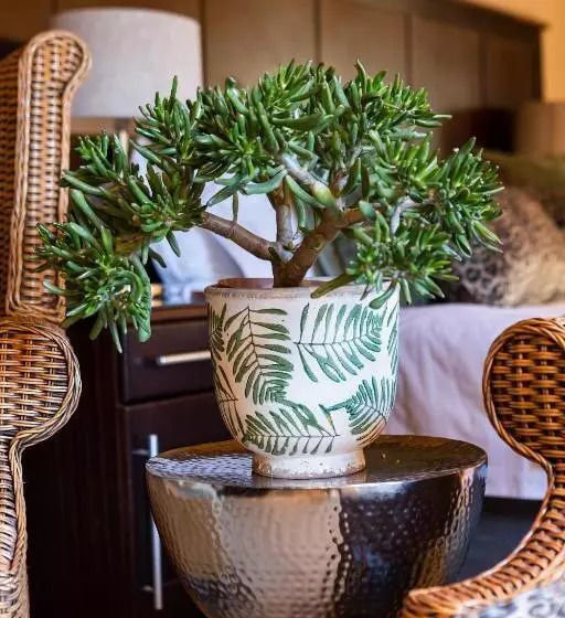 ホテル Kathu Gamagara Lodge