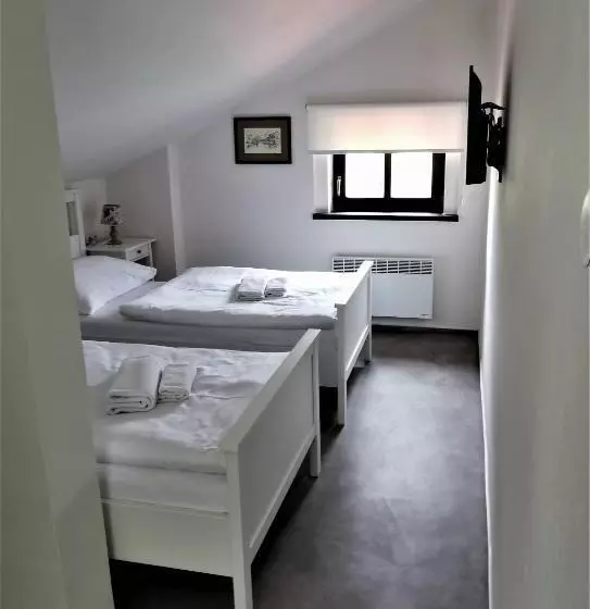 Hotelli švýcarský Dům