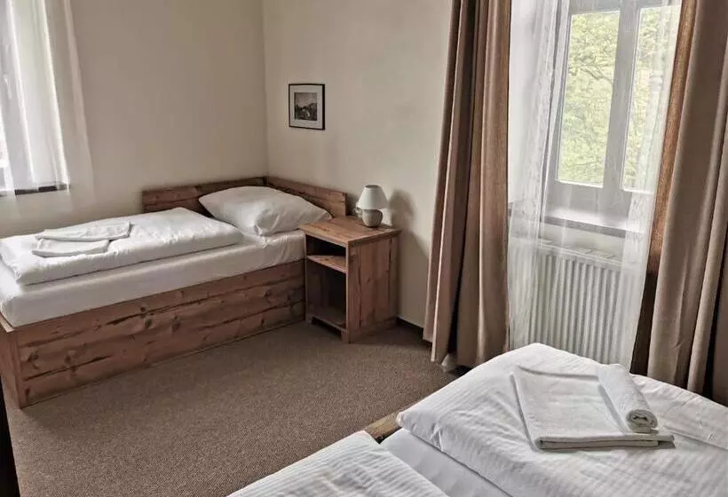 Hotelli švýcarský Dům