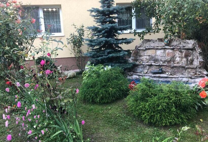 پانسیون Casa Todea