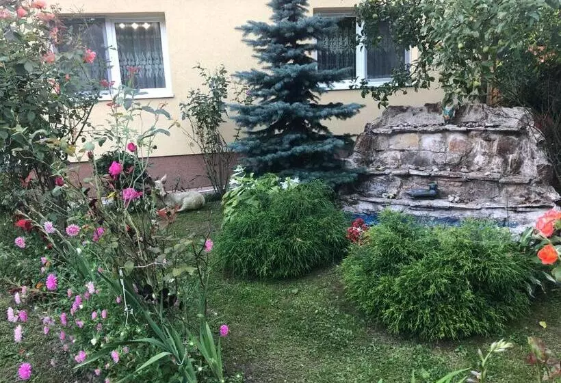 ペンション Casa Todea