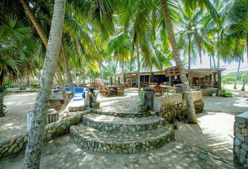 The C Resort & Residences