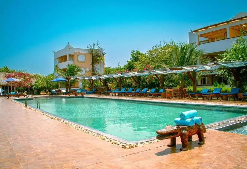 The C Resort & Residences