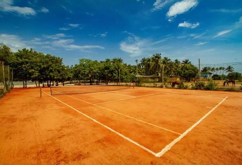 The C Resort & Residences