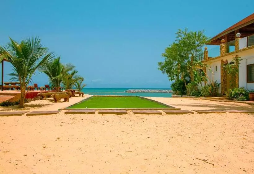 The C Resort & Residences