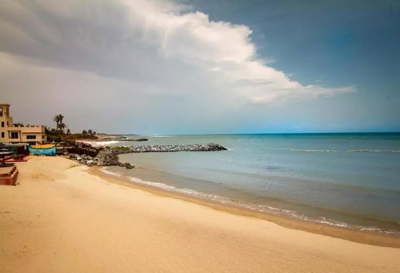 The C Resort & Residences